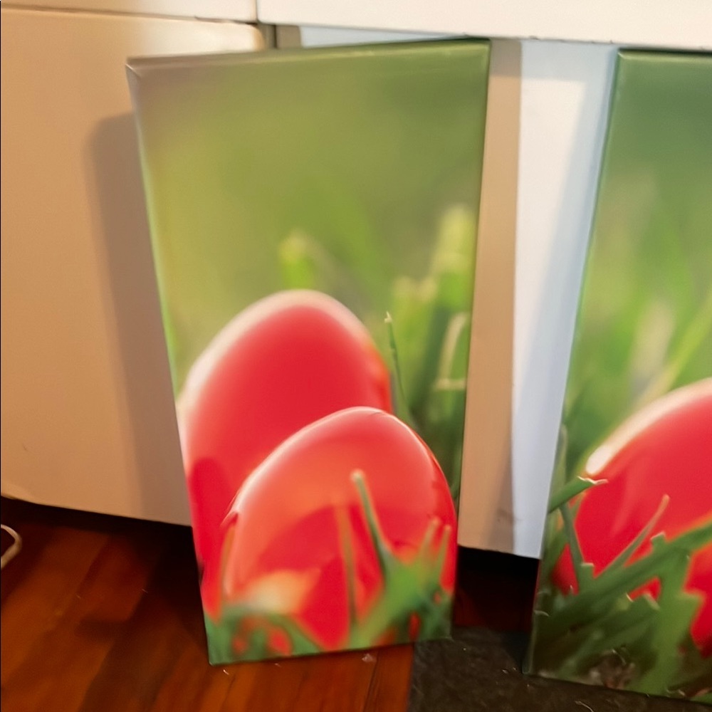 Red and Green Abstract Canvas Art